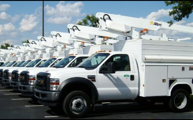 A fleet of trucks